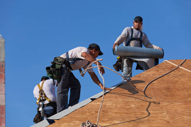 Best Roof Leak Repair  in Evansdale, IA