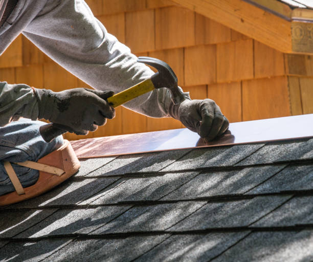 Best Roof Gutter Cleaning  in Evansdale, IA